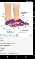 Foot Reflexology Chart ảnh chụp màn hình 1