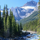 Nature Wallpapers APK