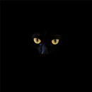 Black Wallpapers APK