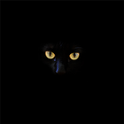 Black Wallpapers icon