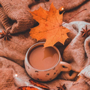 Fall Aesthetic Wallpapers APK