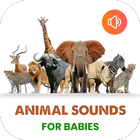 Free animal sounds for babies: name animal calls icon