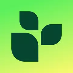 Lifesum: AI Calorie Tracker XAPK download