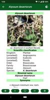 The Medicinal plants and herbs الملصق