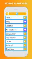 Learn Czech Language screenshot 1