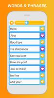 Learn Czech - Language Learning Pro screenshot 2