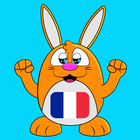 Learn French Language-icoon