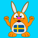 Learn Swedish Language أيقونة