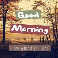 Good Morning Quotes Poster