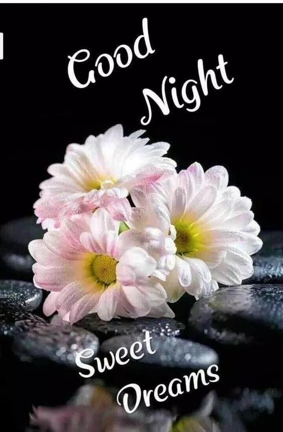 Good hotsell night gift
