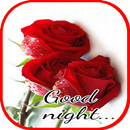 Good Night Flowers Images Gif APK