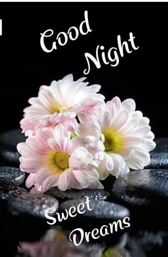 Good Night Images Pictures Gif Dlya Android Skachat Apk Good Night Images Pictures Gif Dlya Android Skachat Apk