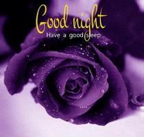 Good Night Images Pictures Gif 2020 plakat