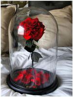 Good Night Image Gif اسکرین شاٹ 2