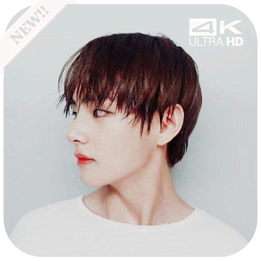 BTS V Wallpapers KPOP