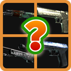 GUESS THE SKIN - CSGO icône