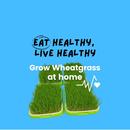 Grow Wheatgrass At Home APK