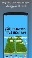 Grow Wheatgrass At Home Cartaz