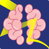 Shape Color  Memory Brain Game