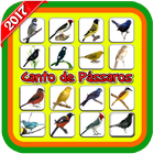 Canto de Pássaros biểu tượng