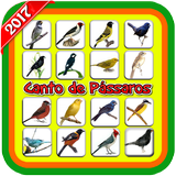 Canto de Pássaros biểu tượng