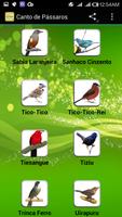 Canto de Pássaros screenshot 3