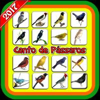 Canto de Pássaros bài đăng