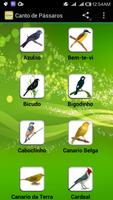 Canto de Pássaros screenshot 1
