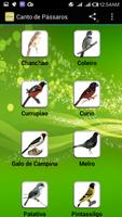 Canto de Pássaros ảnh chụp màn hình 2