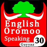 Learn English Oromo Language. ภาพหน้าจอ 3