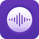 Voice Recorder APK