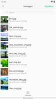 1 Schermata Gestore dei file