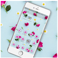 Fresh Red Rose Theme