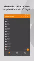 Baixar Gestor de Arquivos Simples Pro XAPK