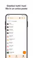 1 Schermata Gestore di File
