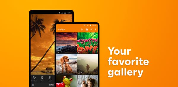 How to Download Simple Gallery Pro for Android image