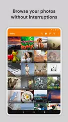 Simple Gallery Pro APK download