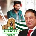 PMLN Profile Dp Maker 2024