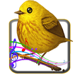 Bird Sounds