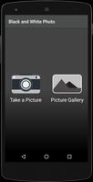 Black & White Picture Photo Effect : Image Effect постер