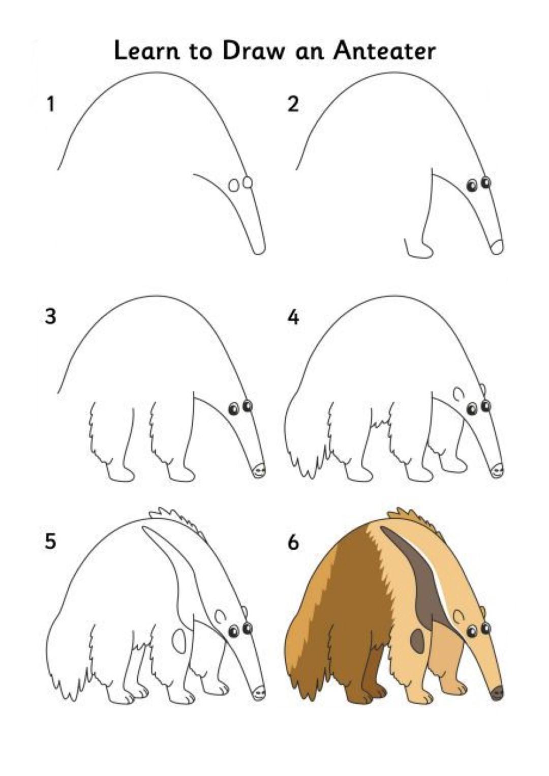 Муравьед рисунок