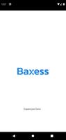 BAXESS постер