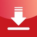 Video Downloader