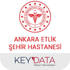 Ankara Etlik Şehir Hastanesi icône