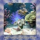 Coral Reef Live WP APK