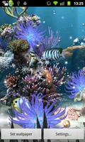 Coral Reef Live WP screenshot 1