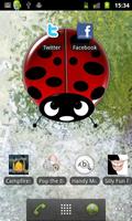 Lucky Ladybug Free Live WP poster