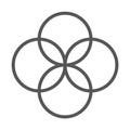 SBGI Link