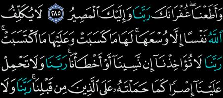 القرآن الكريم تصوير الشاشة 3