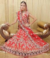 Lehenga Designs screenshot 3